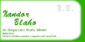 nandor blaho business card