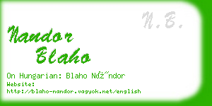nandor blaho business card